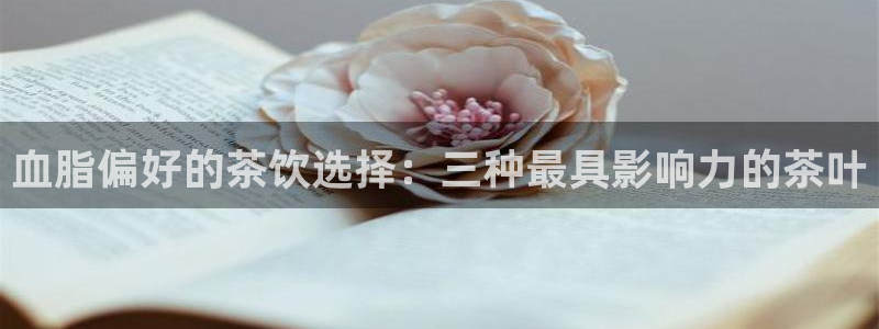 龙八国际电脑版下载