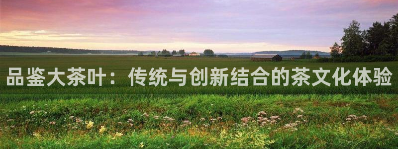 龙八国际 long5658.com