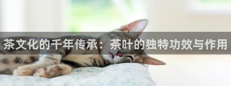 龙八国际客户端下载平台