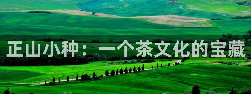 龙八国际娯乐城软件下载