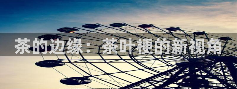 龙八国际电话