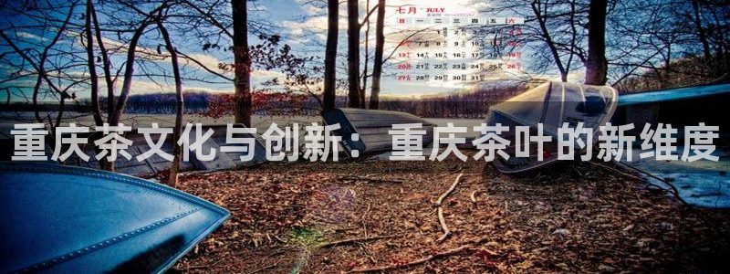 龙八国际服官网站