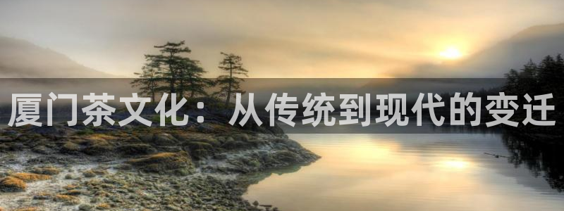 l龙八国际