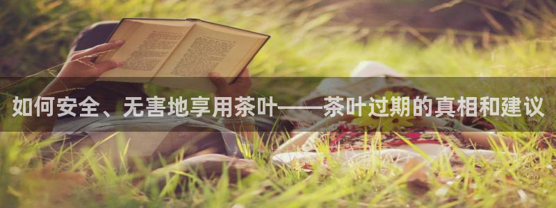 搜索 龙八国际