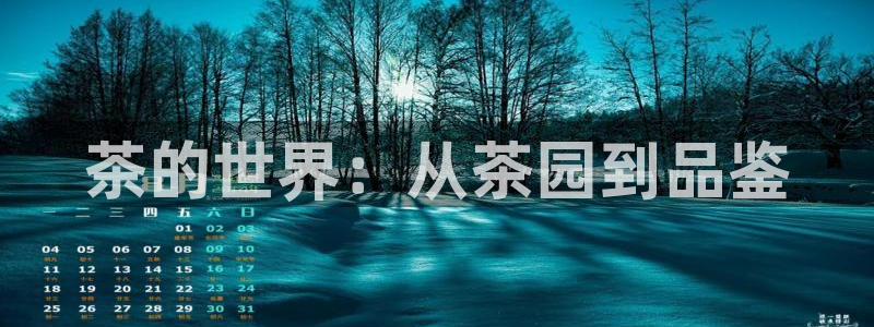 龙八国际娱手机