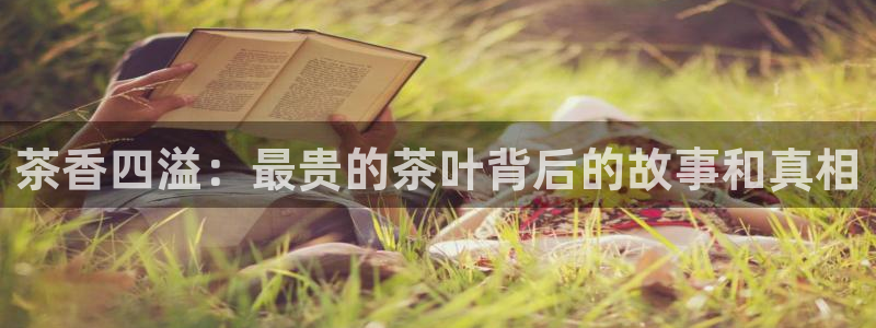 龙八国际娱乐