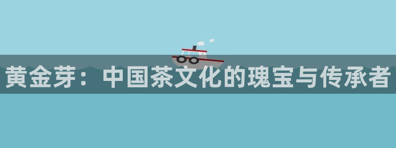 龙八国际公司是真是假