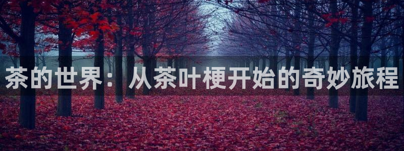 龙八国际管网登陆