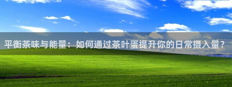 龙八国际电子游戏