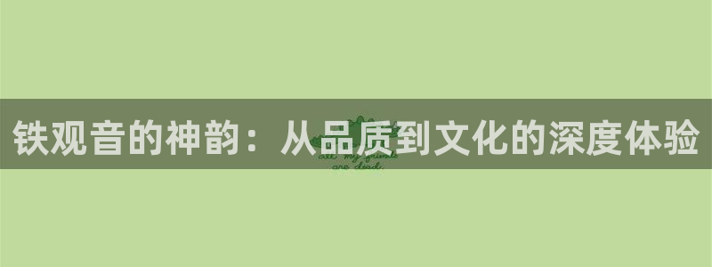 龙八国际娱乐app