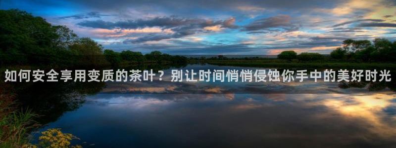 龙八国际手机版官方版app下载