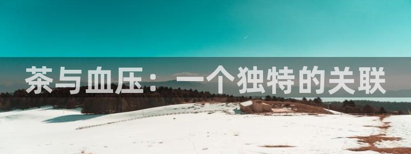龙八国际服官网进入