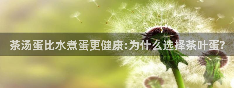 龙八国际娱乐网站