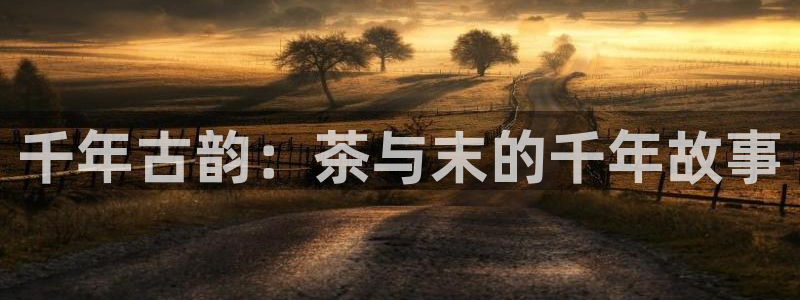 龙八国际图片