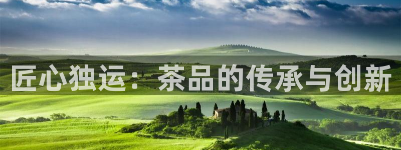 龙八国际登官网