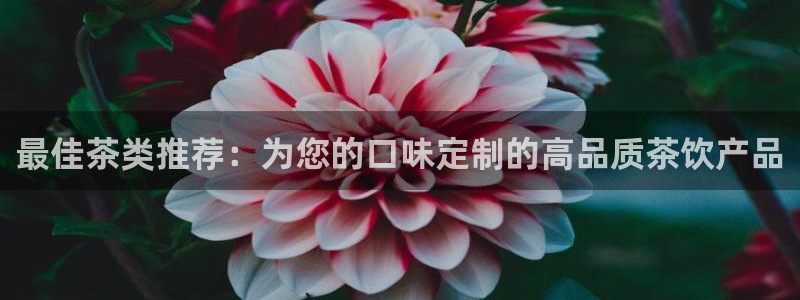 龙八国际官方网址