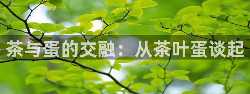 龙八国际娱乐手机版