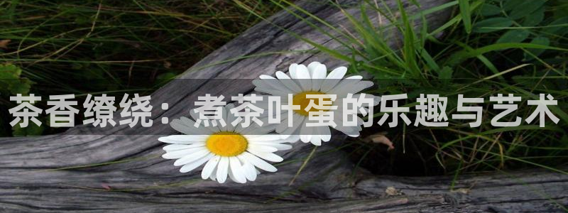 龙八国际App下载地址