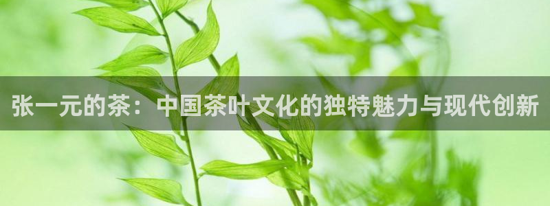 龙八国际棋牌官方网站