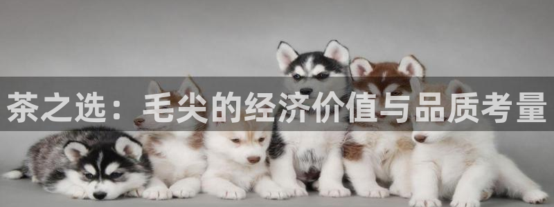 龙八国际app是什么