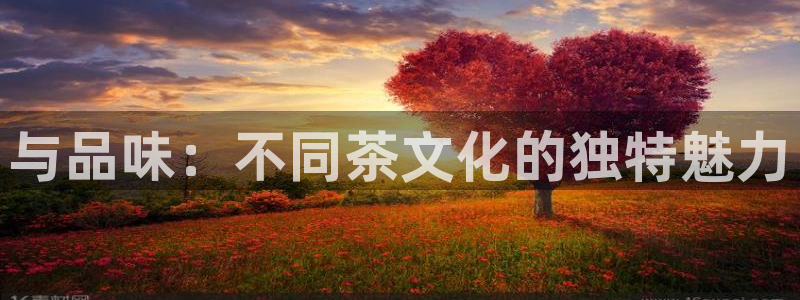龙八国际娱乐正版