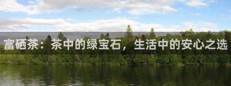 头号玩家龙八国际网址