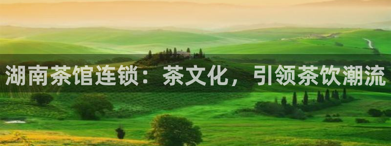 龙八国际平台yb48点top