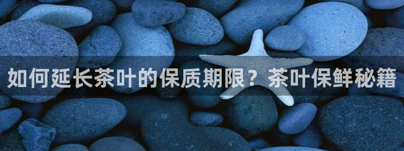 龙八国际是什么软件