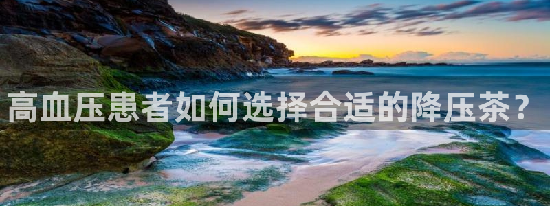 龙八国际客户端pt