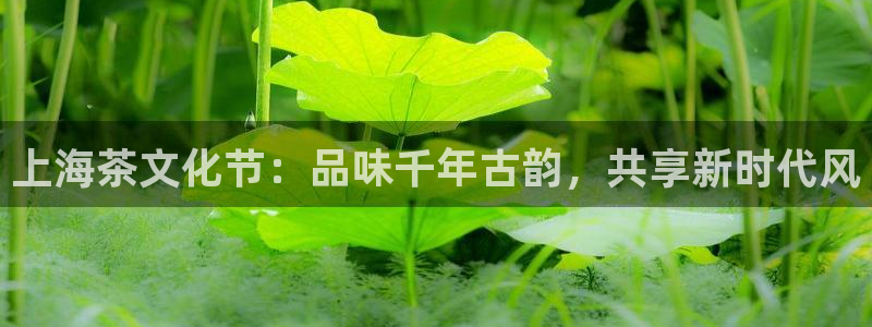 龙八国际集团