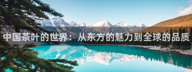 龙八国际客户端下载平台