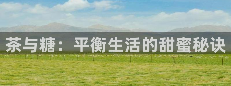 龙八国际pt客户端