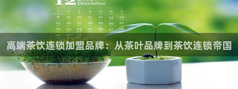 龙八国际怎么样