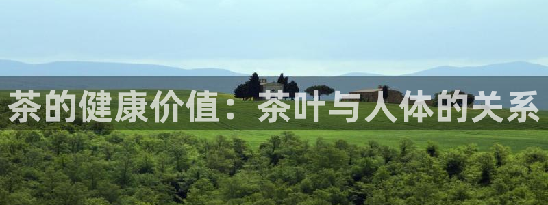 头号玩家龙八国际网址