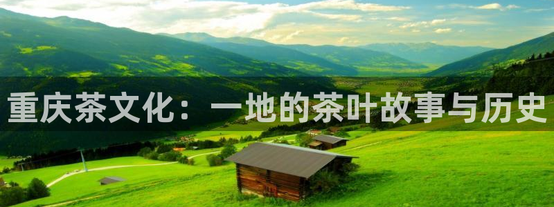 龙八国际游乐城