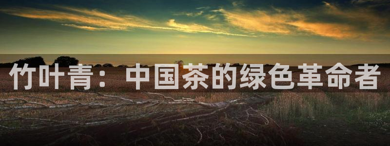 龙八国际平台安卓