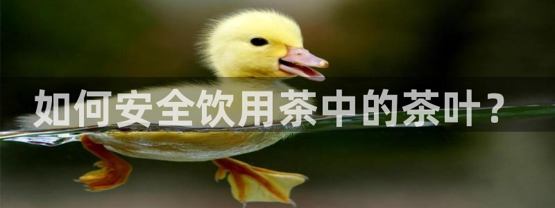 龙八国际娱乐官方网址