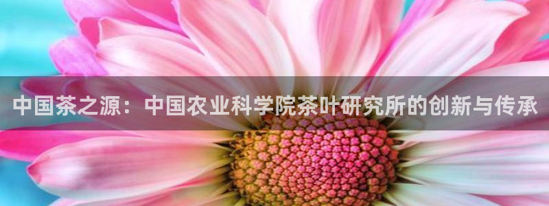 龙八国际能赢钱吗