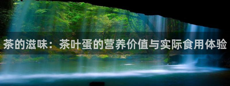 龙 八国际