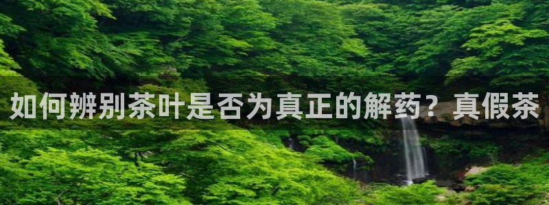 龙八国际备用地址