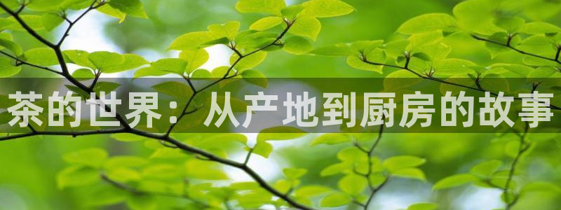 龙八国际官方首页