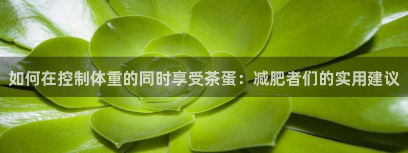龙八国际网