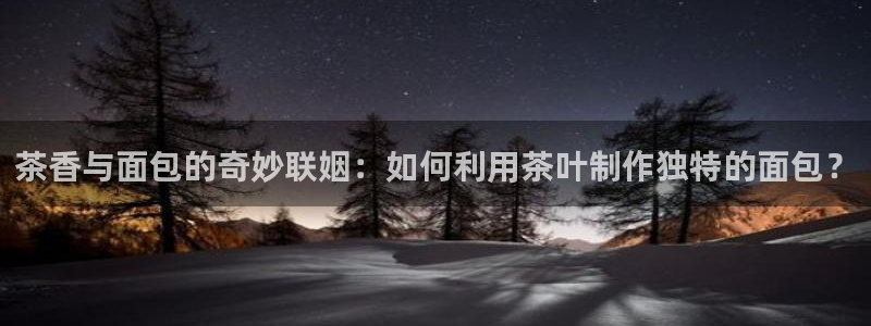 龙八国际代理app