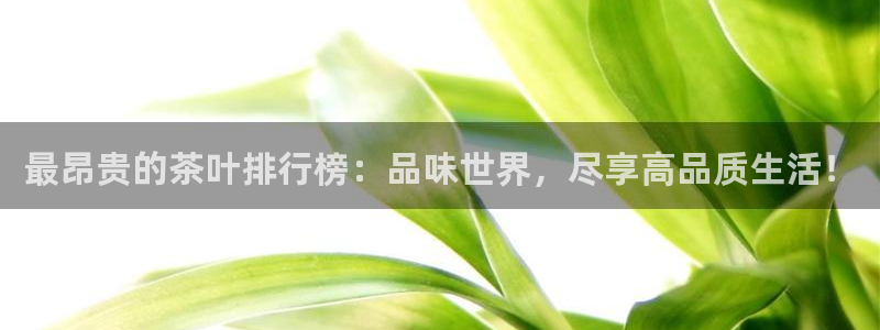 龙八国际技巧