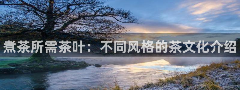 头号玩家龙八国际
