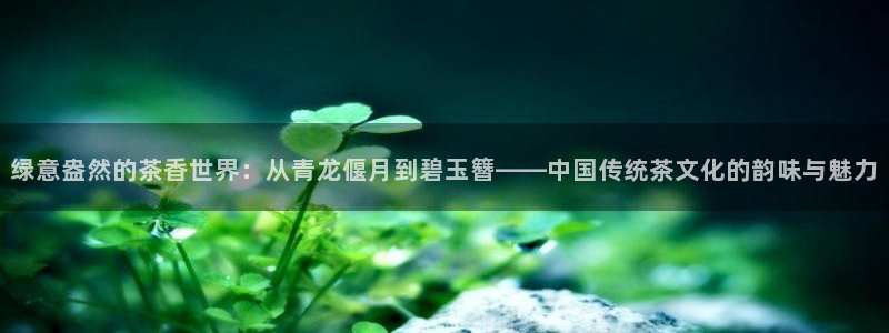 龙八国际娱乐群