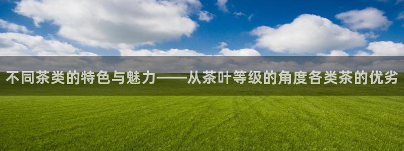龙八国际app电话号码