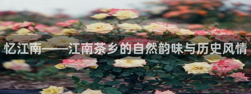 龙八国际官网苹果
