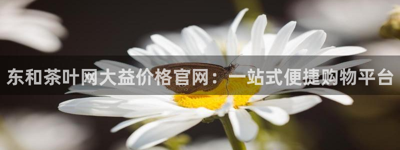 菲律宾龙八国际杀猪