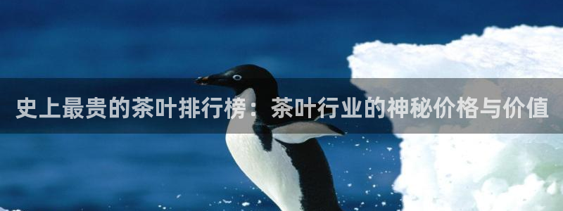 龙八国际娱手机